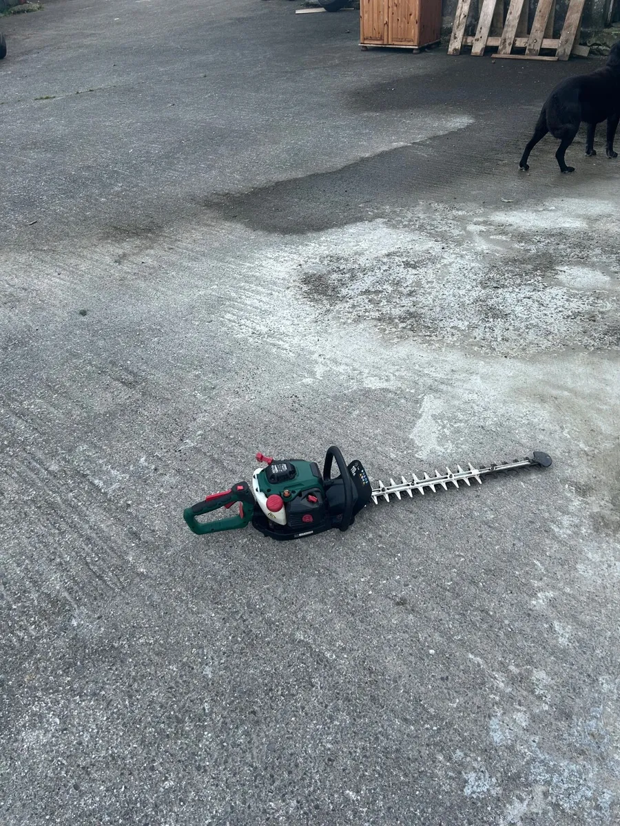 Chainsaw - Image 3
