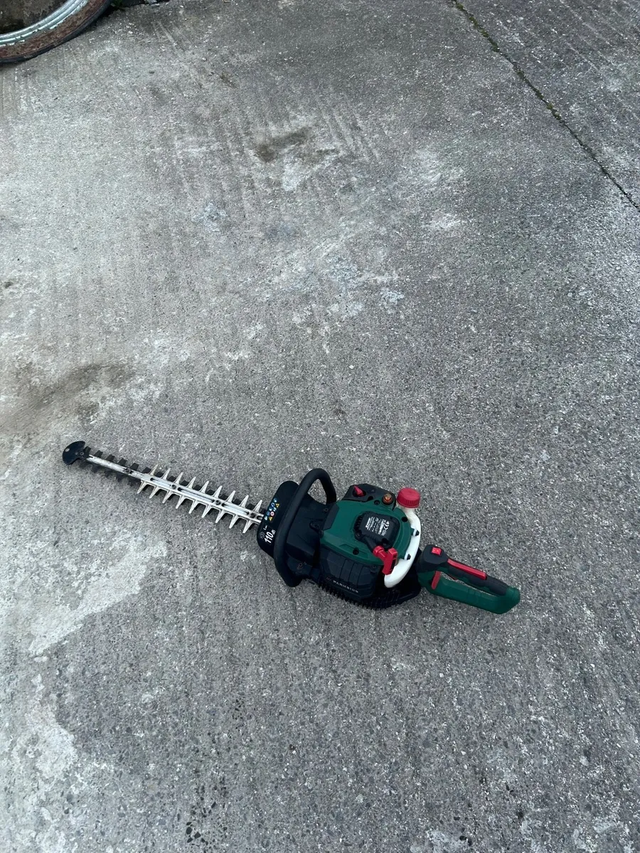 Chainsaw - Image 4