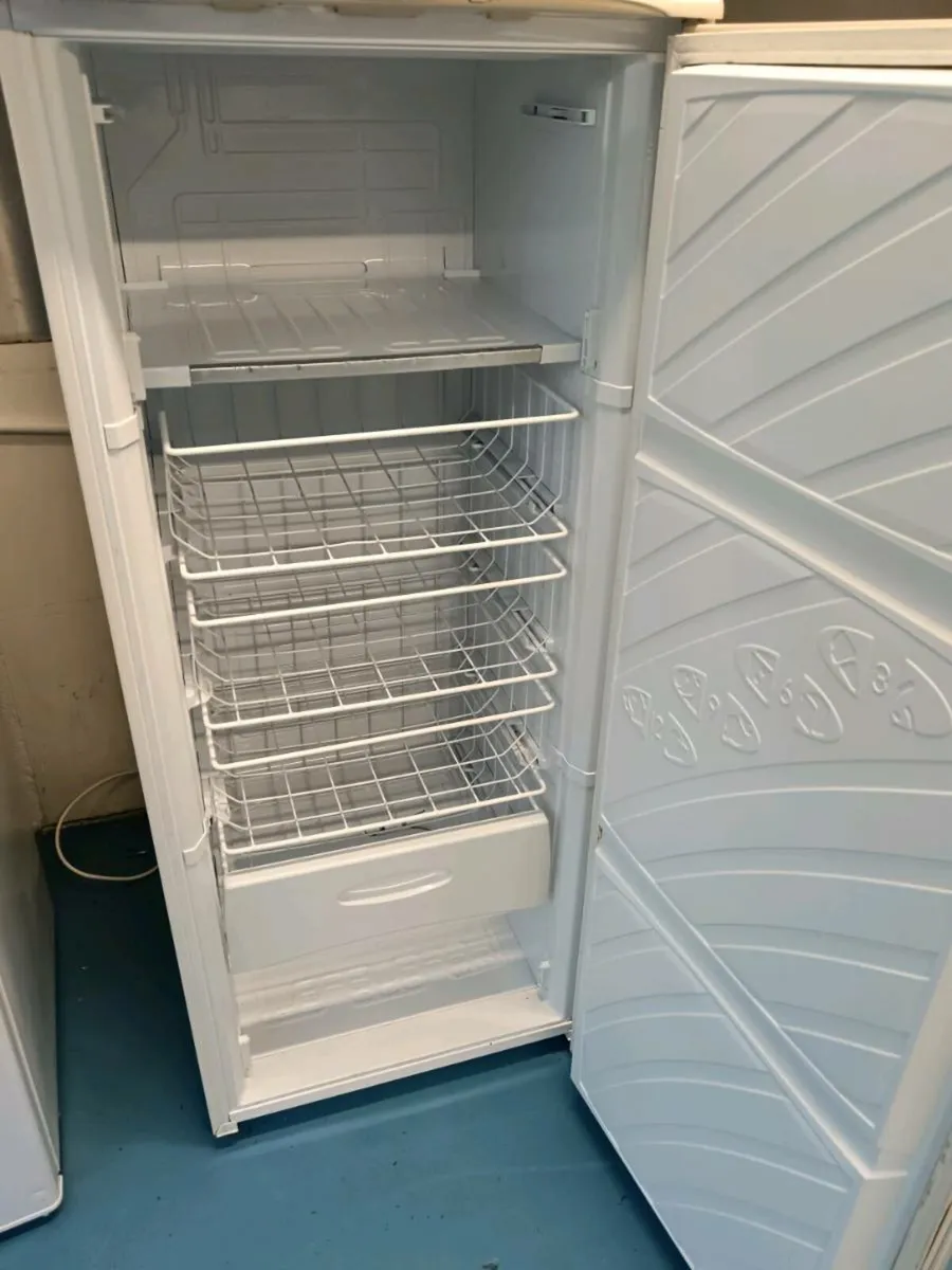 Tall Larder Freezer - Image 1