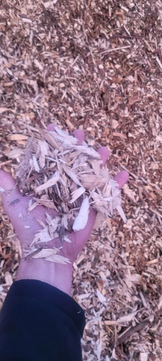 Woodchip - Image 2