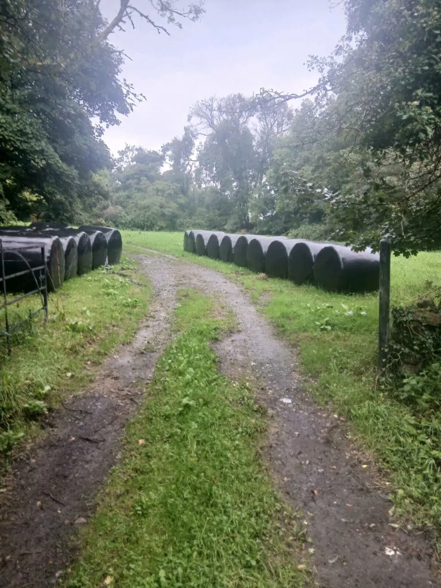 Hayalage bales