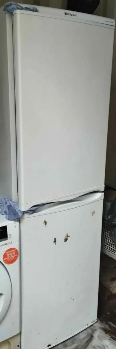 Tumble dryer & Fridge Freezer - Image 3