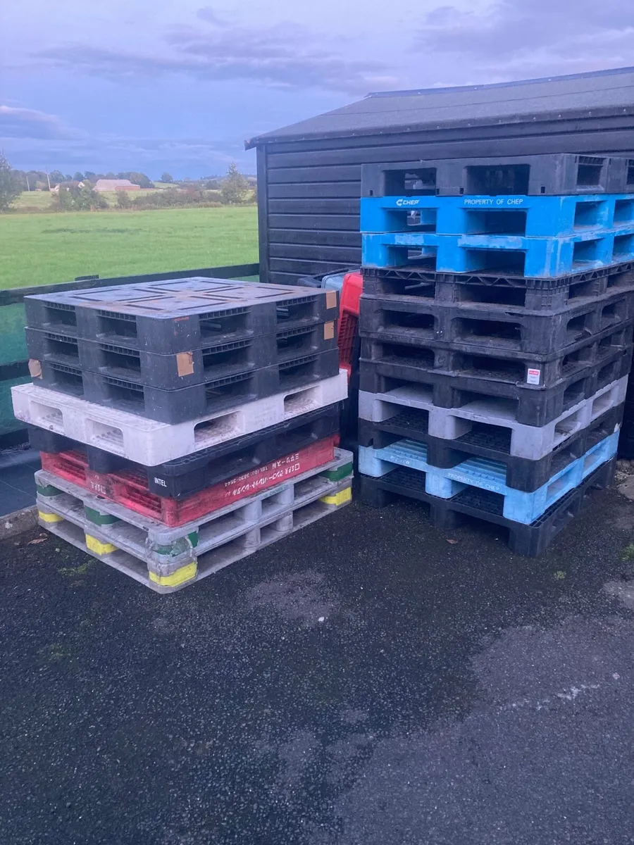 Selection of plastic pallets