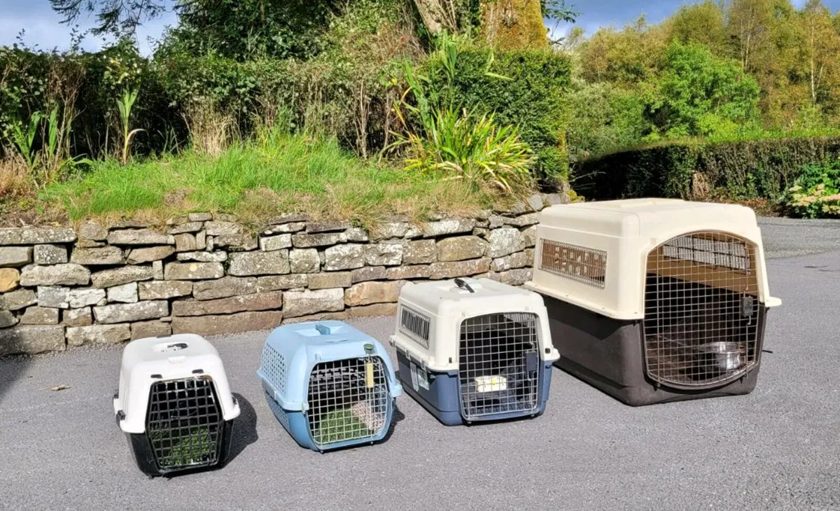 Pet Carriers - Image 2