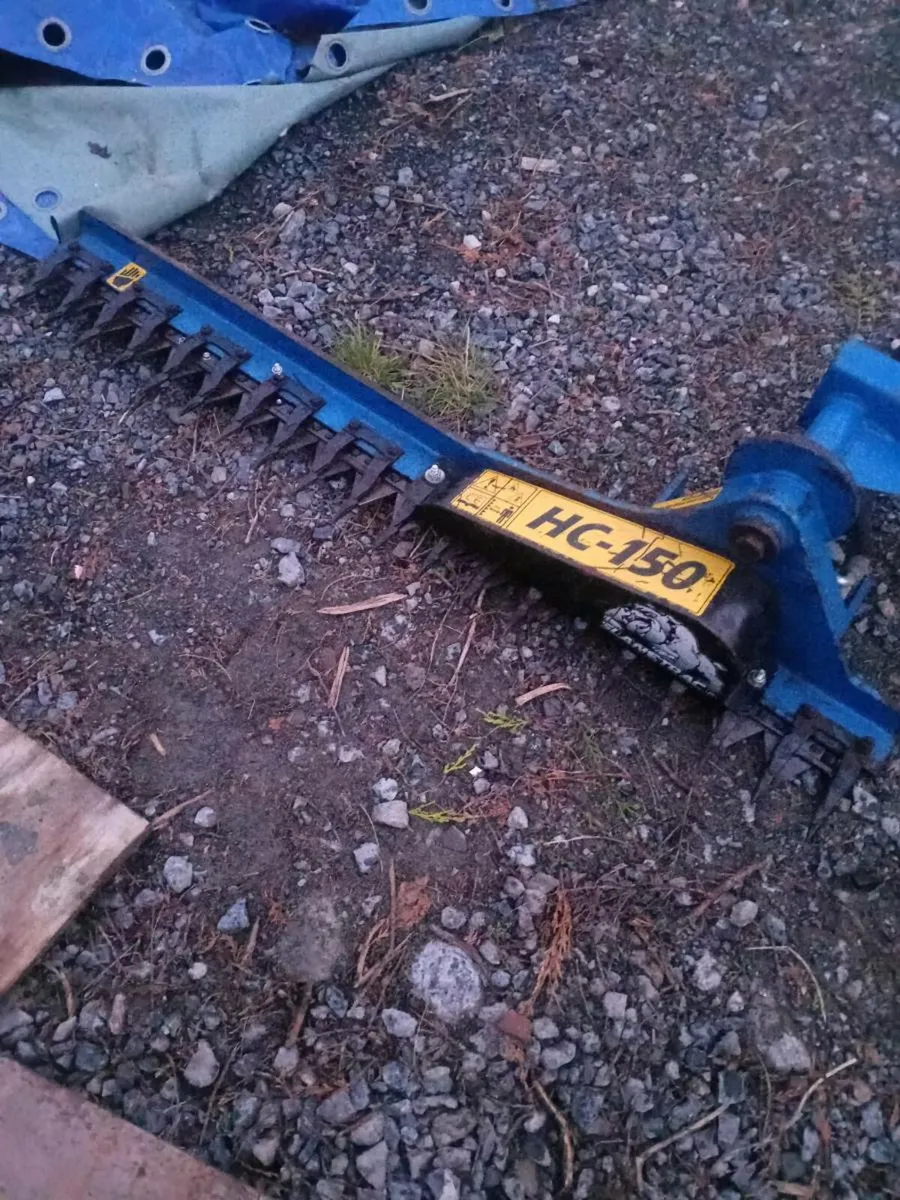 Minidigger and Hedge cutter  for sale - Image 2