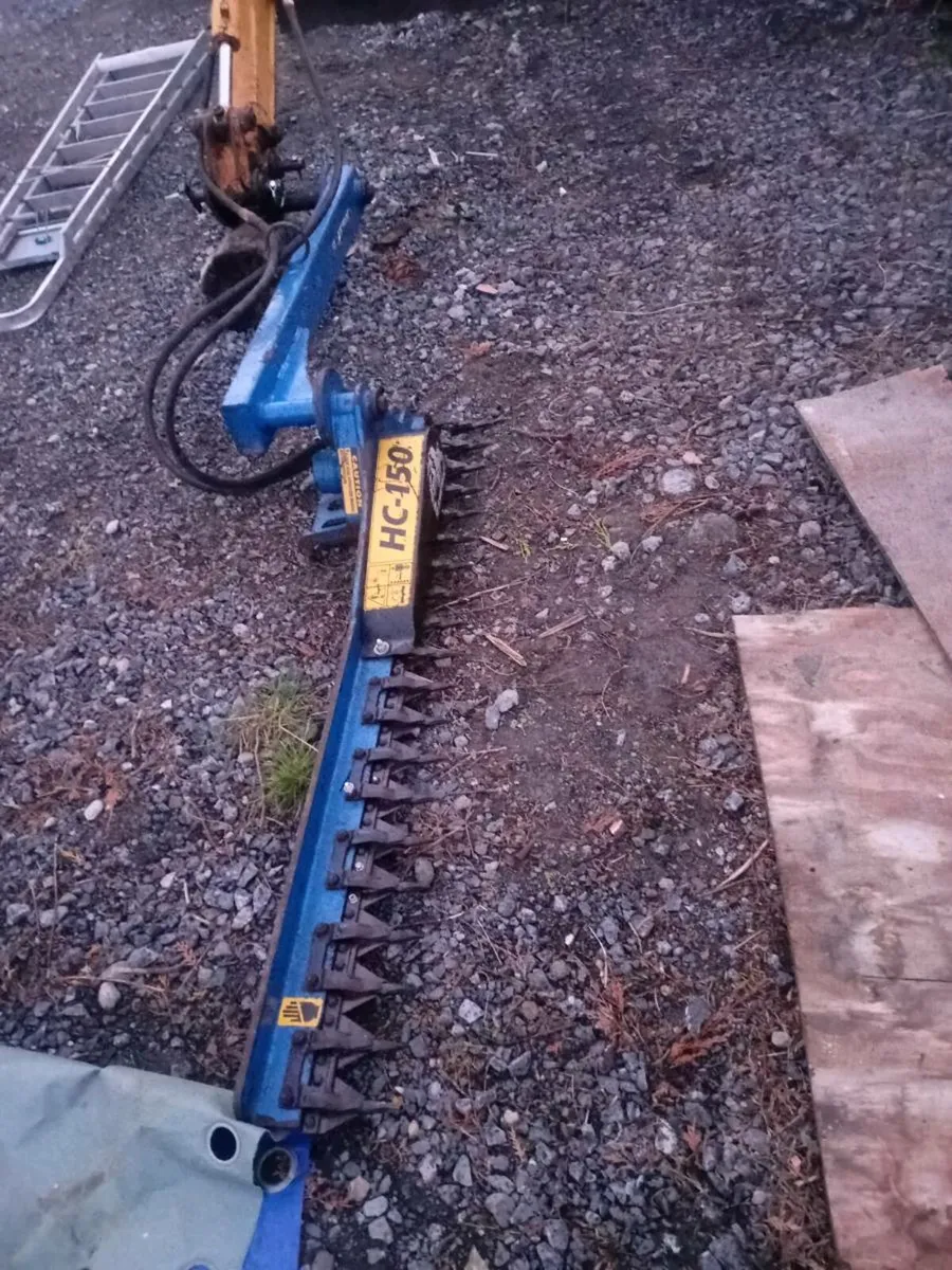 Minidigger and Hedge cutter  for sale - Image 4