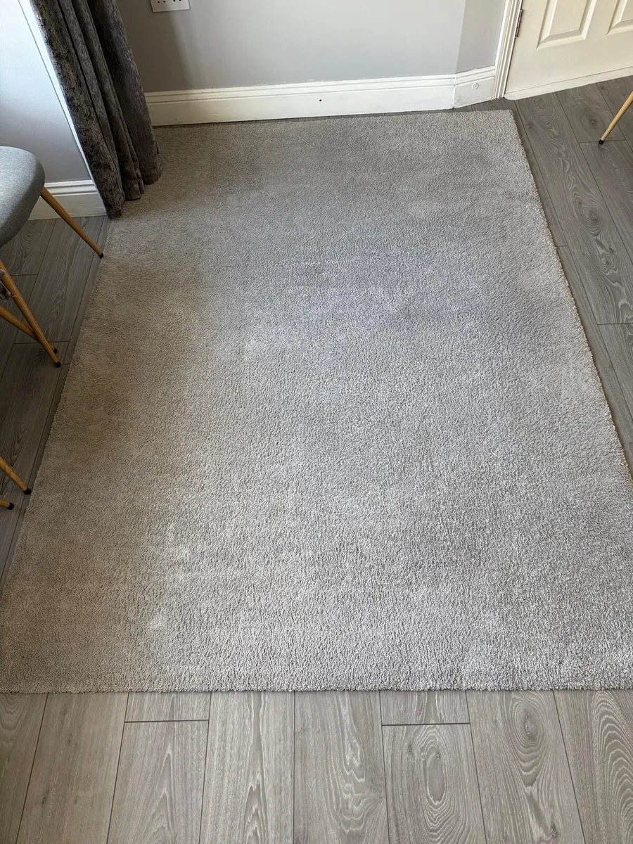 Carpet - Image 1