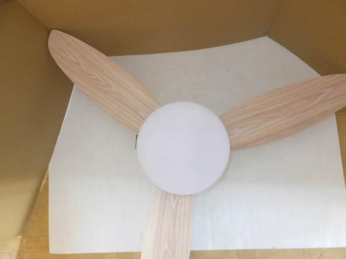 Ceiling Fan Light - Image 4
