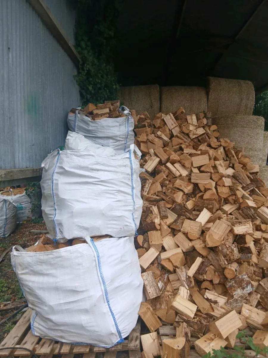 Firewood - Image 1