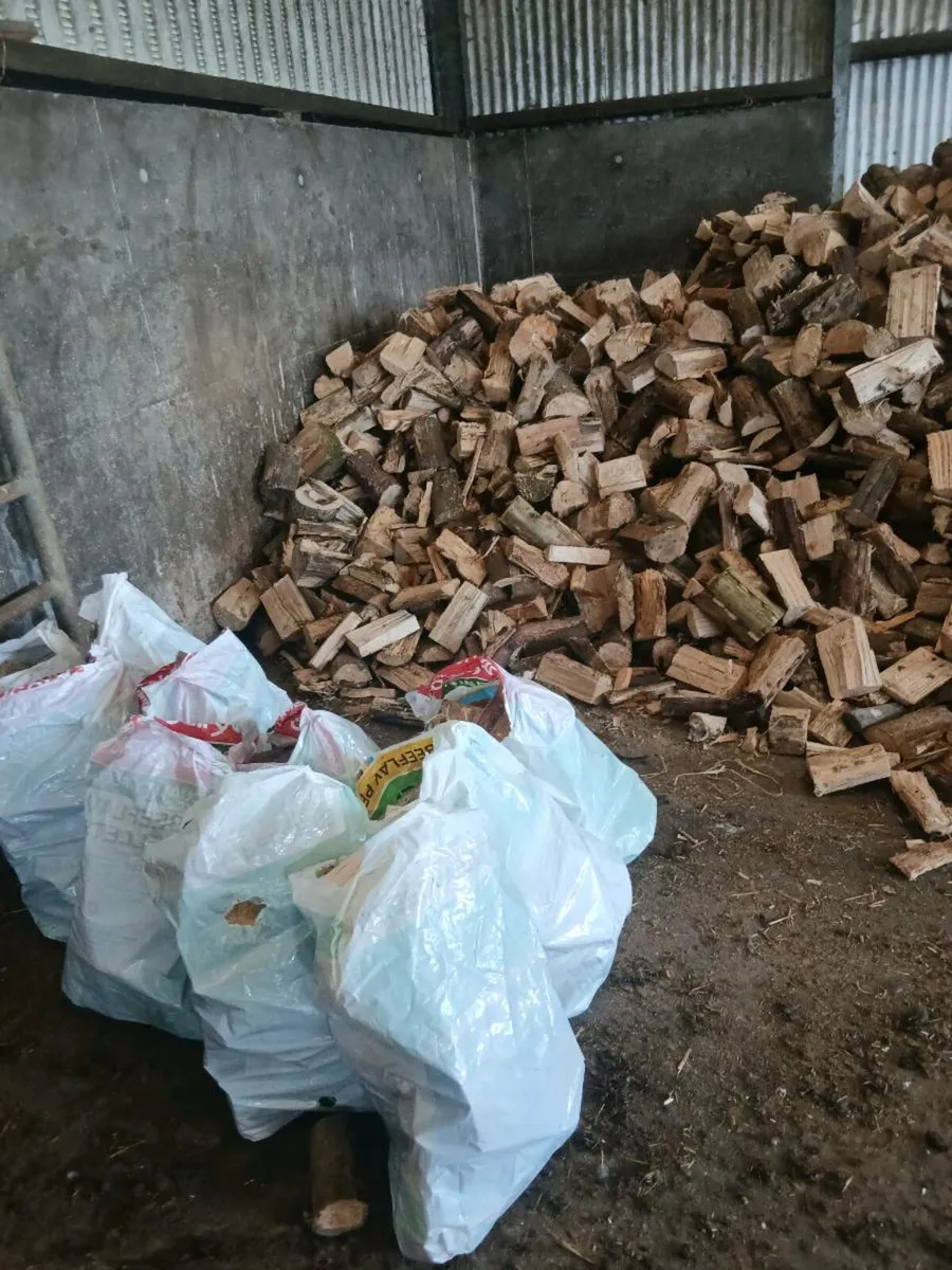Firewood - Image 3