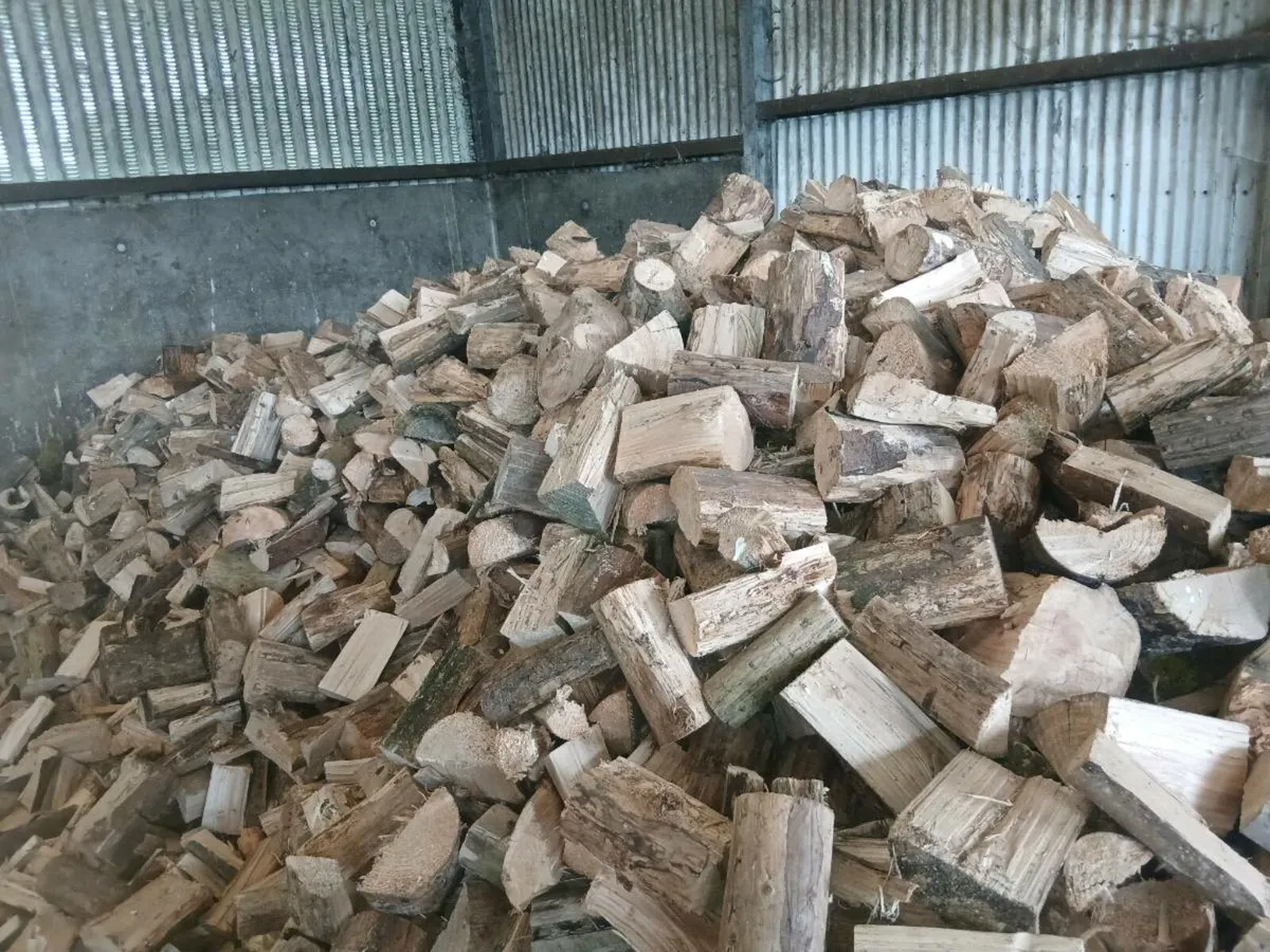 Firewood - Image 4