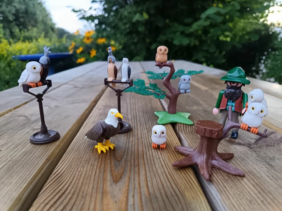 Playmobil falconry set - Image 1