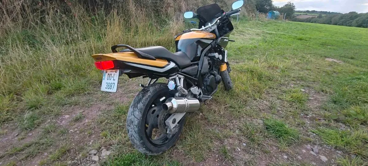 Yamaha fazer 600 fzr 600 - Image 4