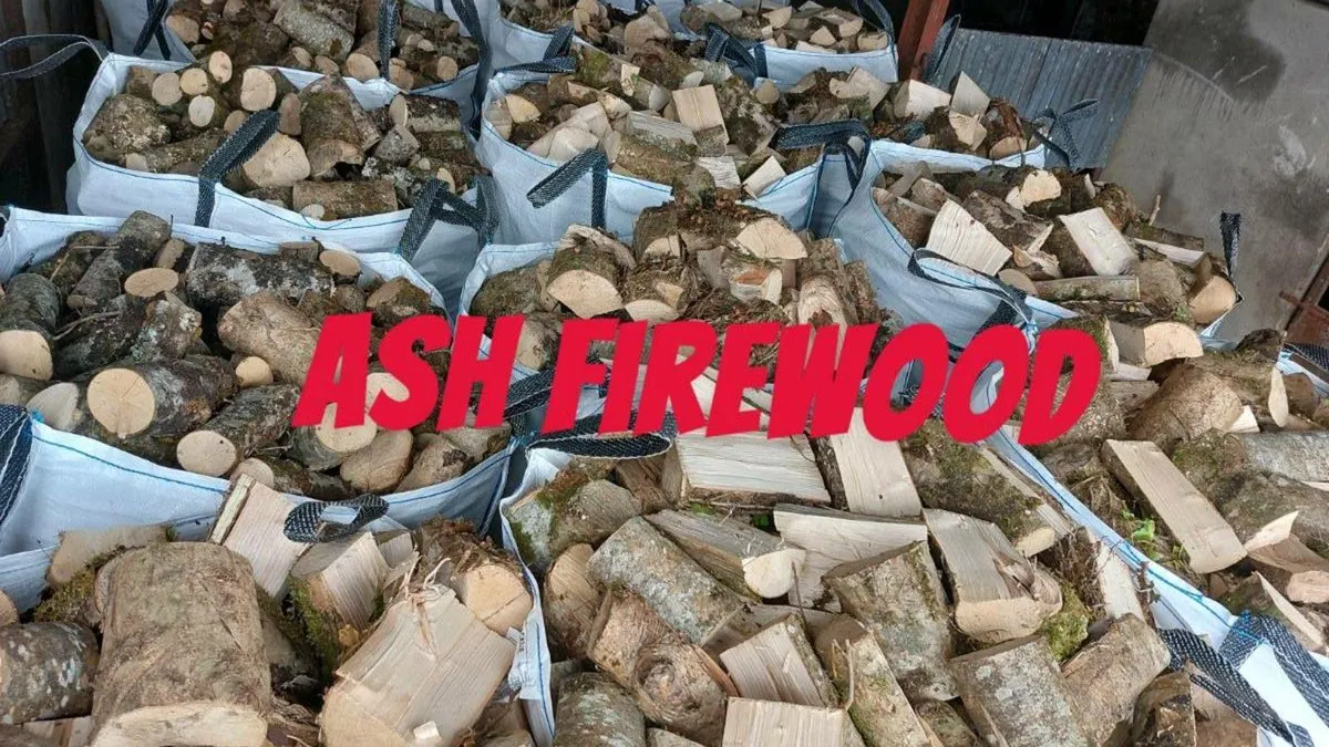 Firewood - Image 2