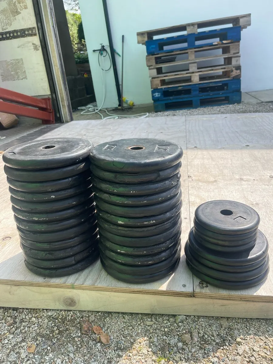Dumbbells & Weight Plates - Image 1
