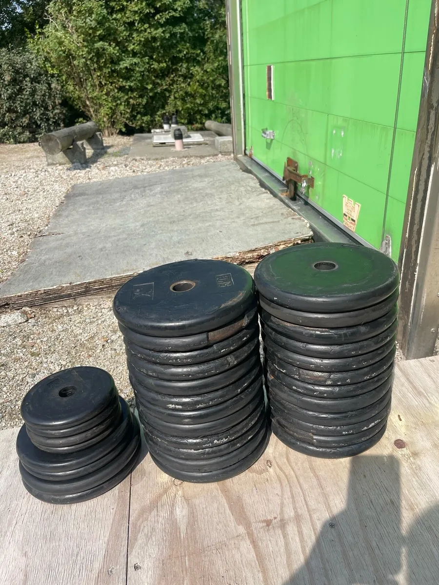 Dumbbells & Weight Plates - Image 2
