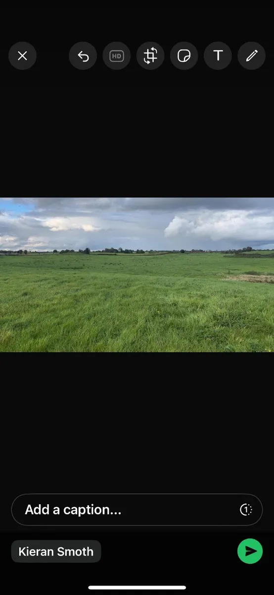 2nd crop  prime grass. - Image 3