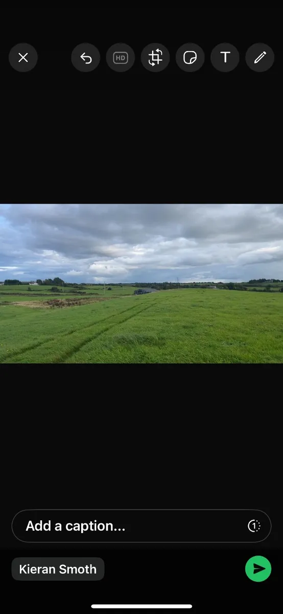 2nd crop  prime grass. - Image 4