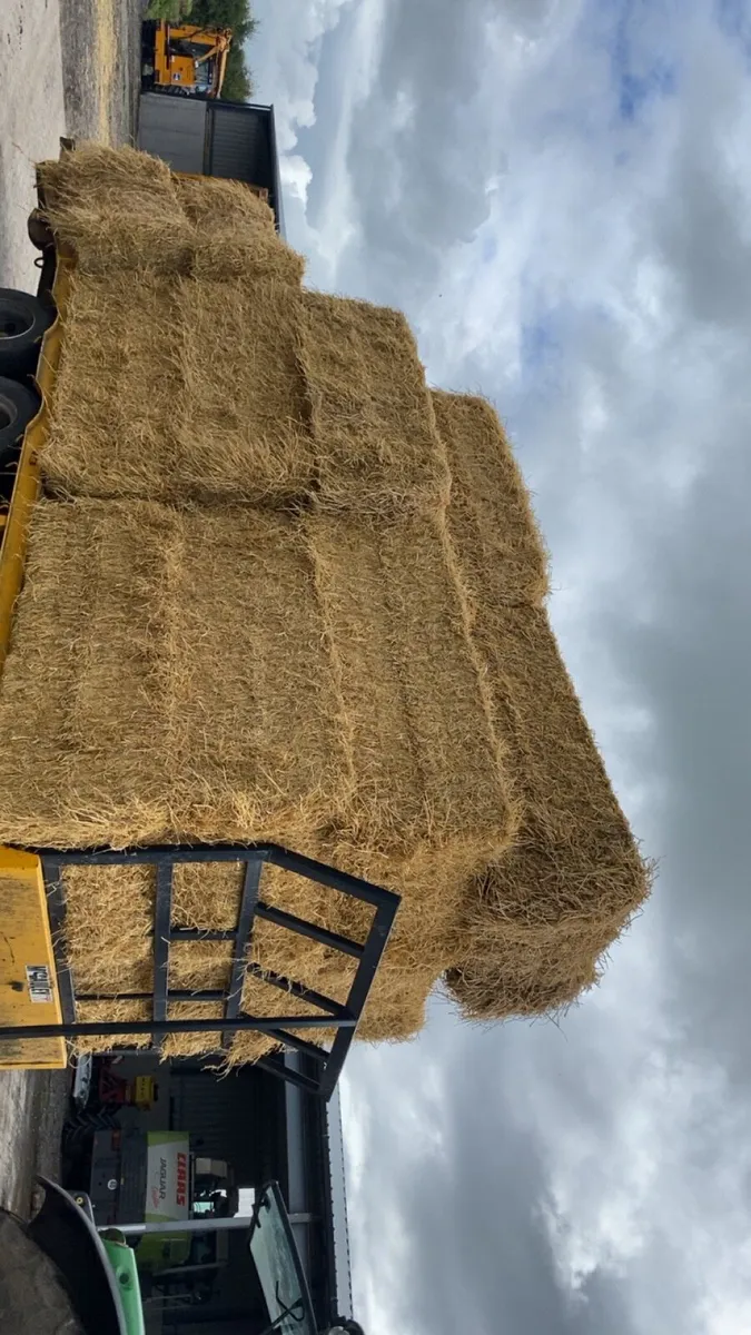 Straw for sale - Image 2