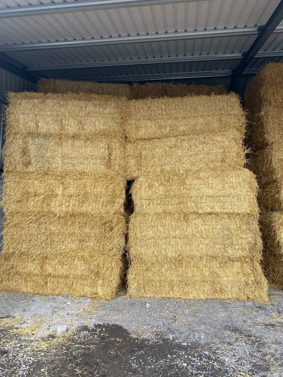 Straw for sale - Image 1