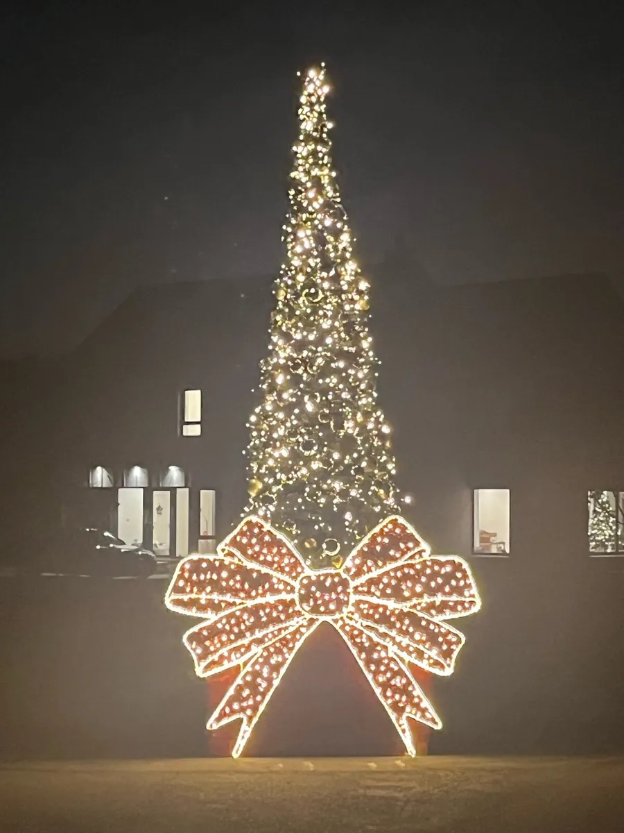 Large Christmas Trees 15-40ft - Image 3