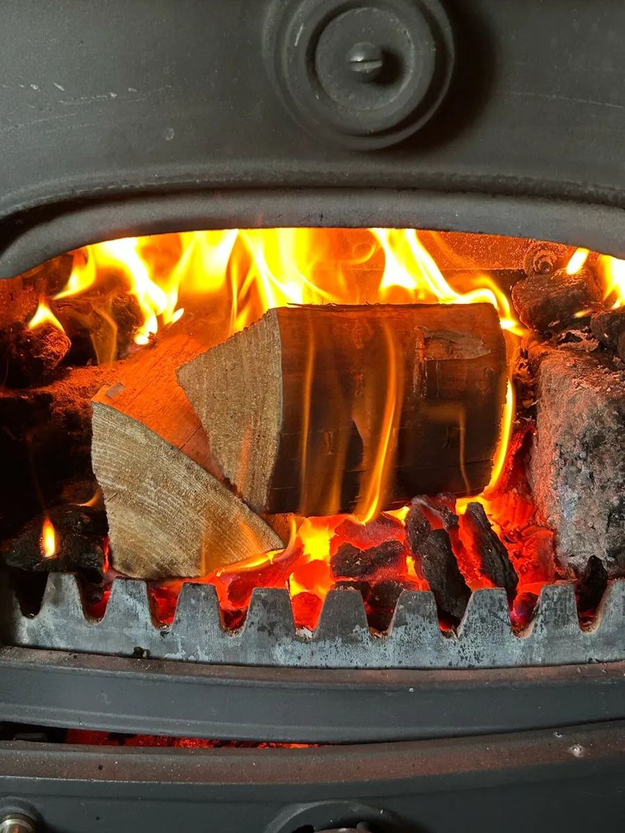 Firewood - Image 3