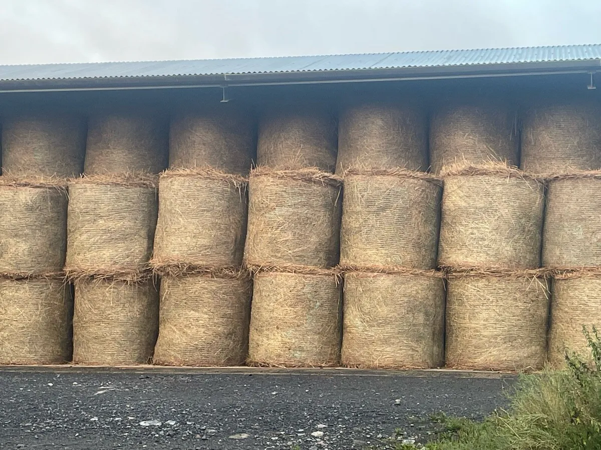 Bales of rushes - Image 2