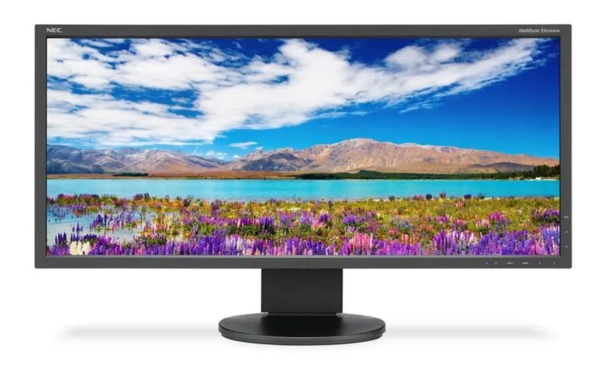 NEC MultiSync EA294WMi 29 inch monitor - Image 1