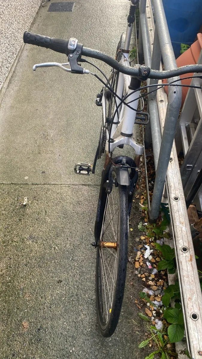 Gents bicycle - Image 2