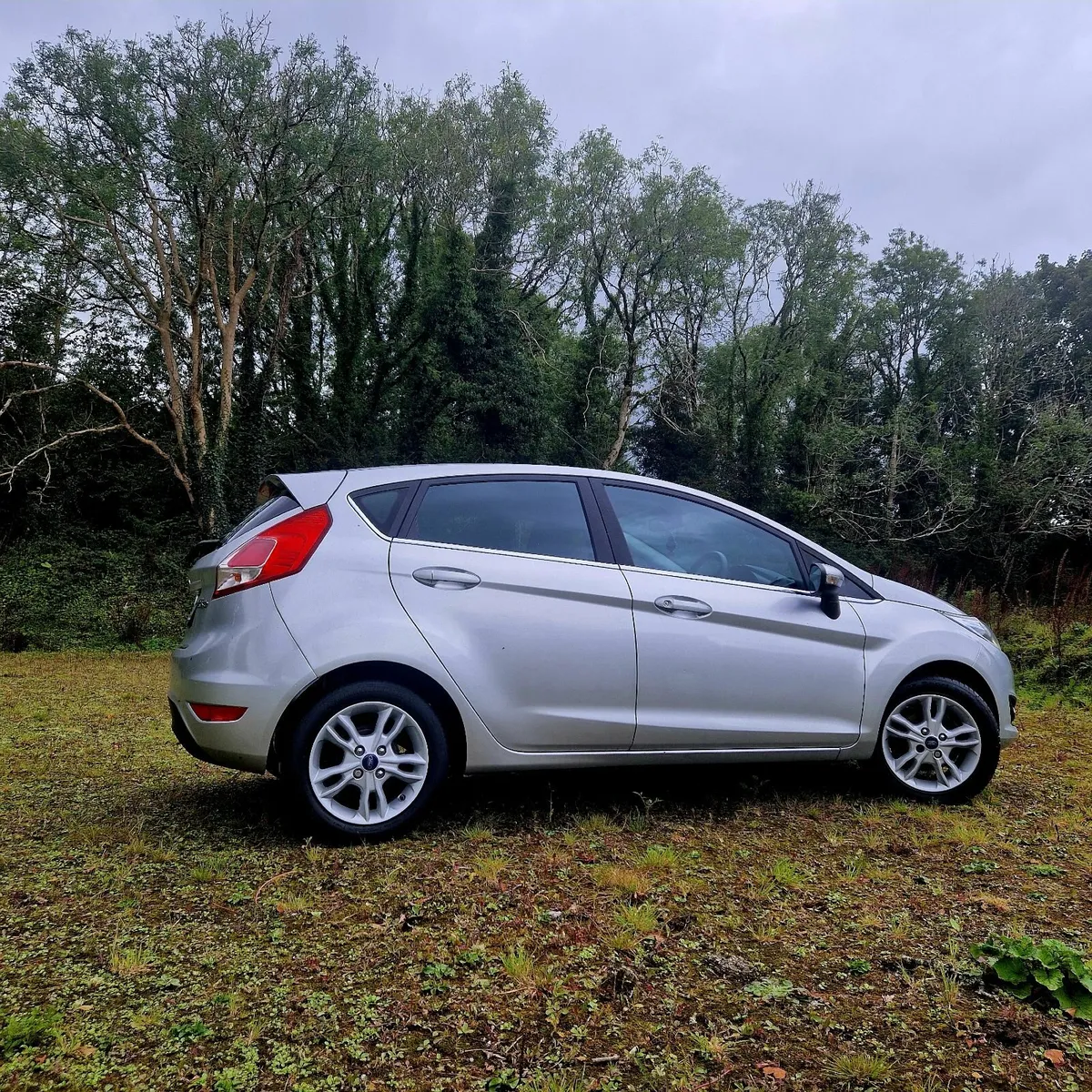 2017 Silver Ford Fiesta Argento 1.25L - Image 3