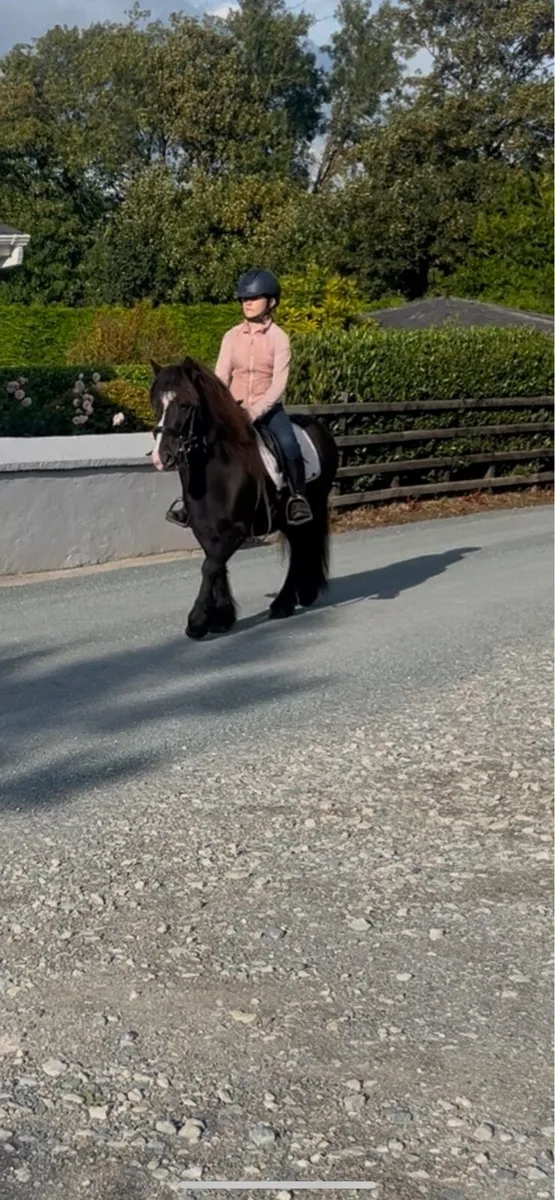😍Black beauty😍 - Image 1