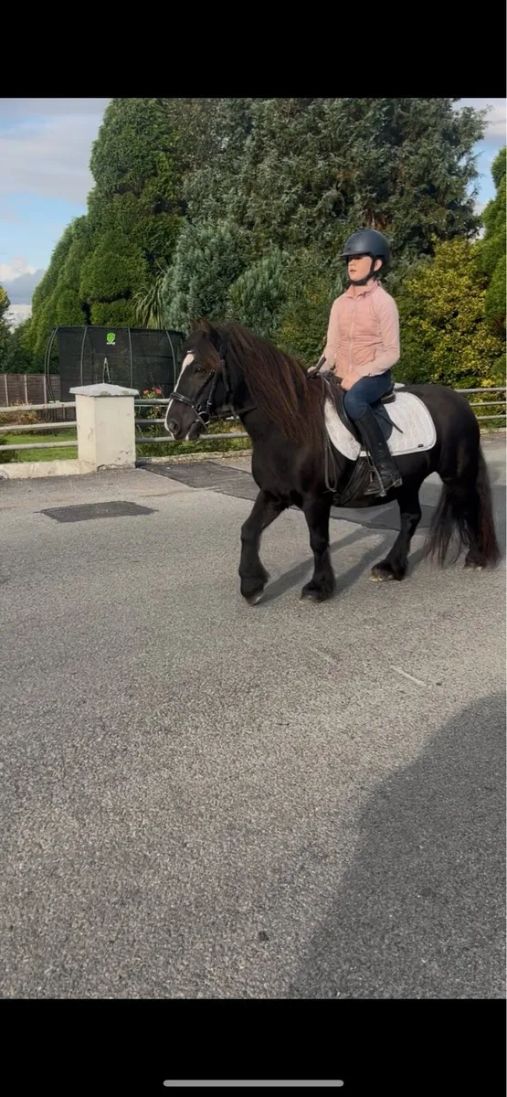 😍Black beauty😍 - Image 2