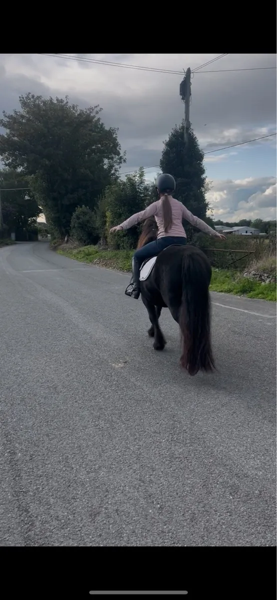 😍Black beauty😍 - Image 3