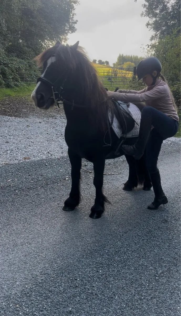 😍Black beauty😍 - Image 4