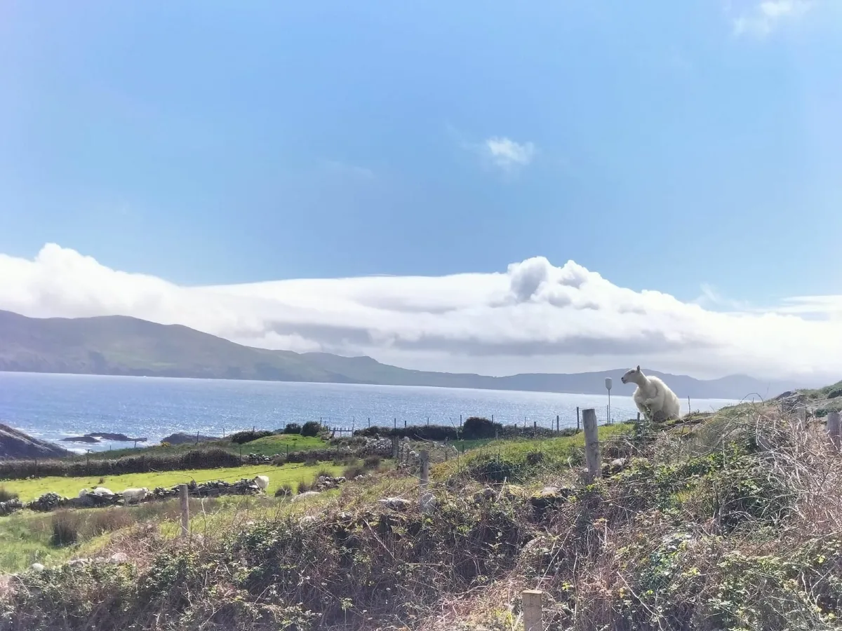 Large Site sea view West Cork - Image 2