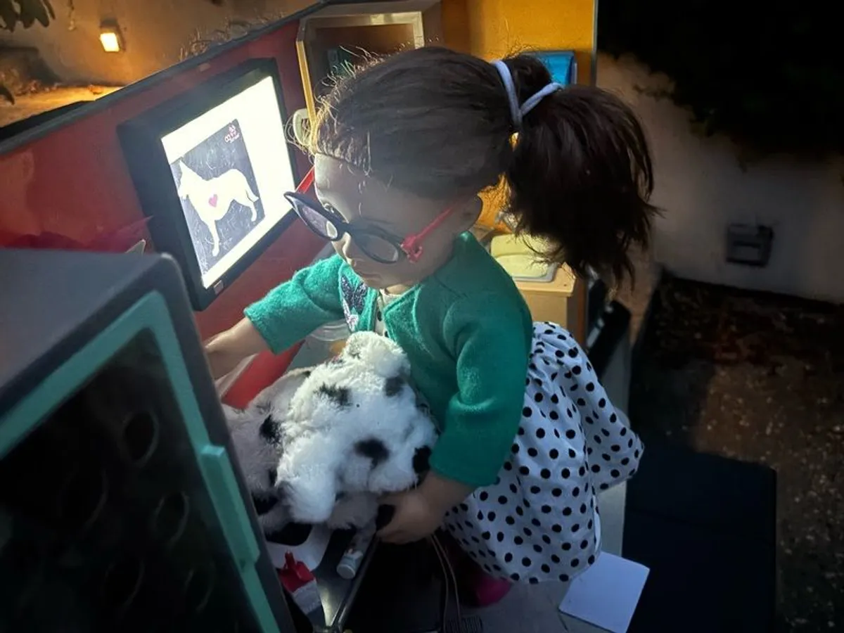 dolls - Image 4