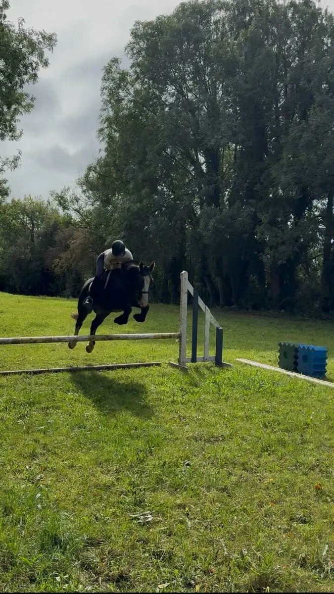 14:2 cob - Image 2