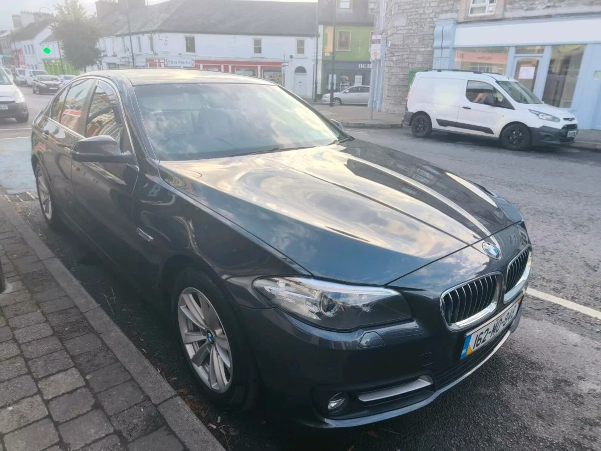 BMW 520D SE - Image 2