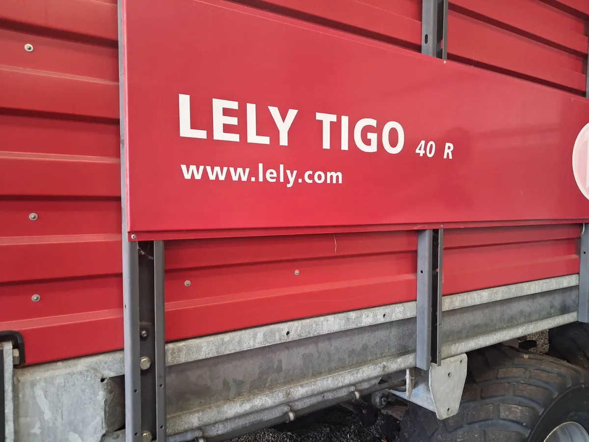 Silage wagon - Image 2