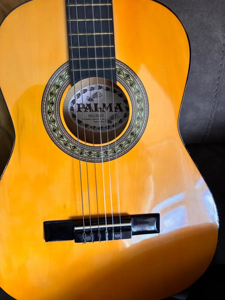 Guitar - Image 2