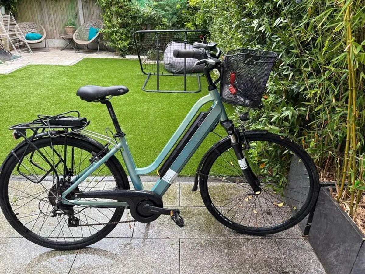 Electric Bike - Image 1