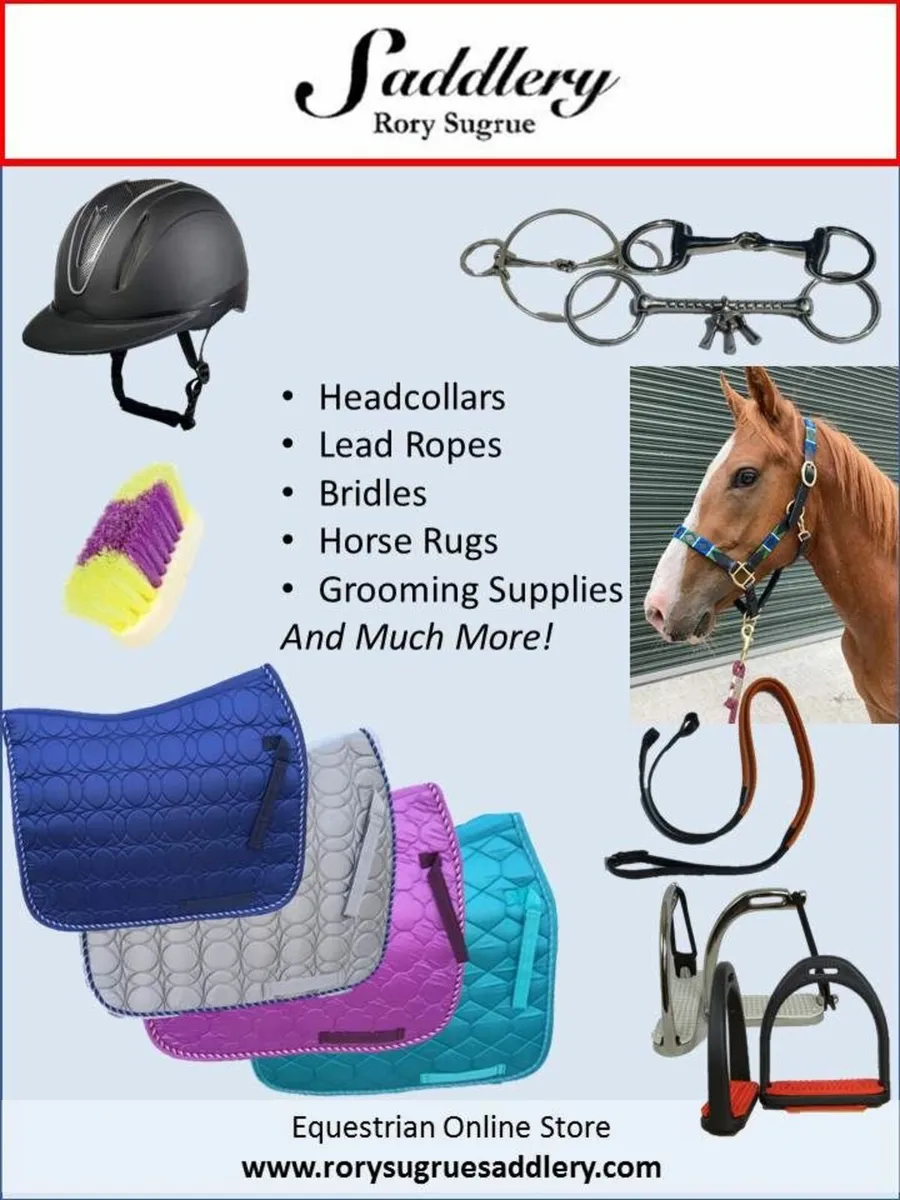 Online tack shop - delivery to your door - Image 1