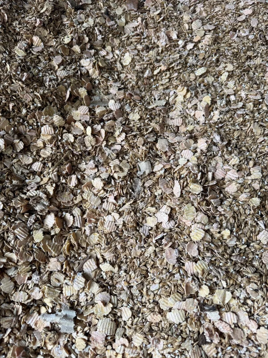 Organic Feeds