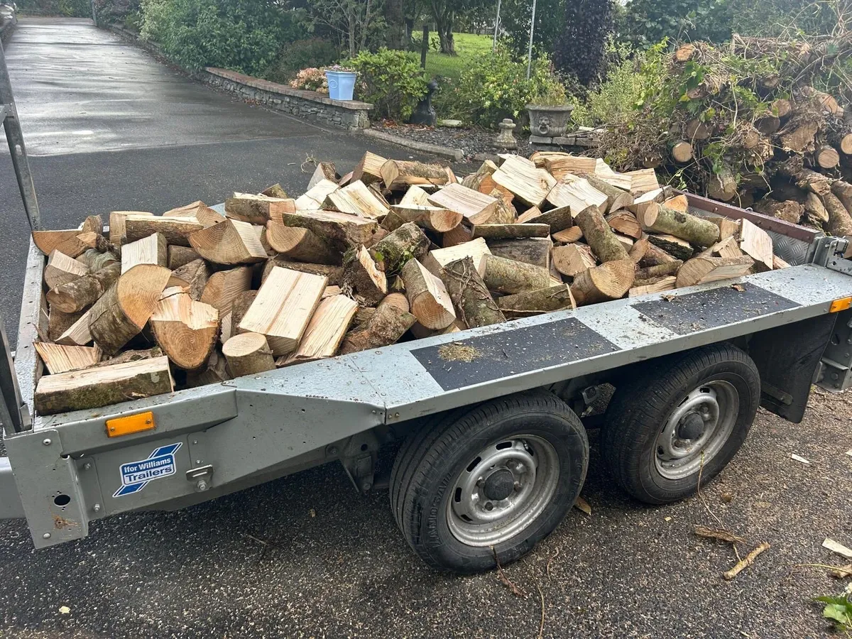Ash firewood - Image 1