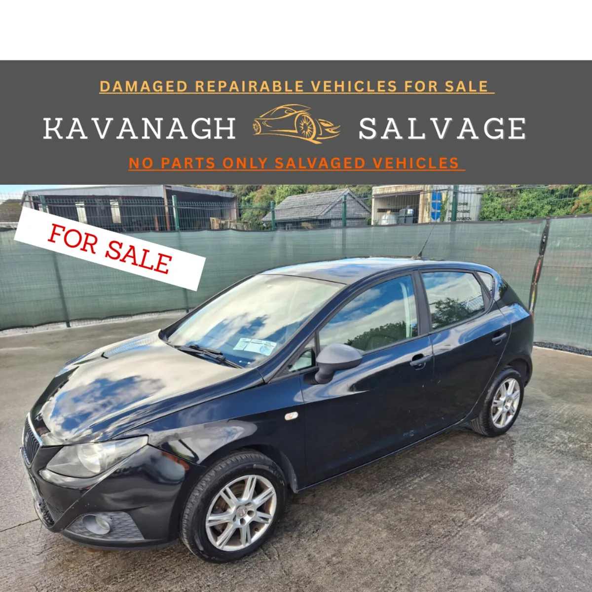 2012 Seat Ibiza 1.2 Petrol - Image 1