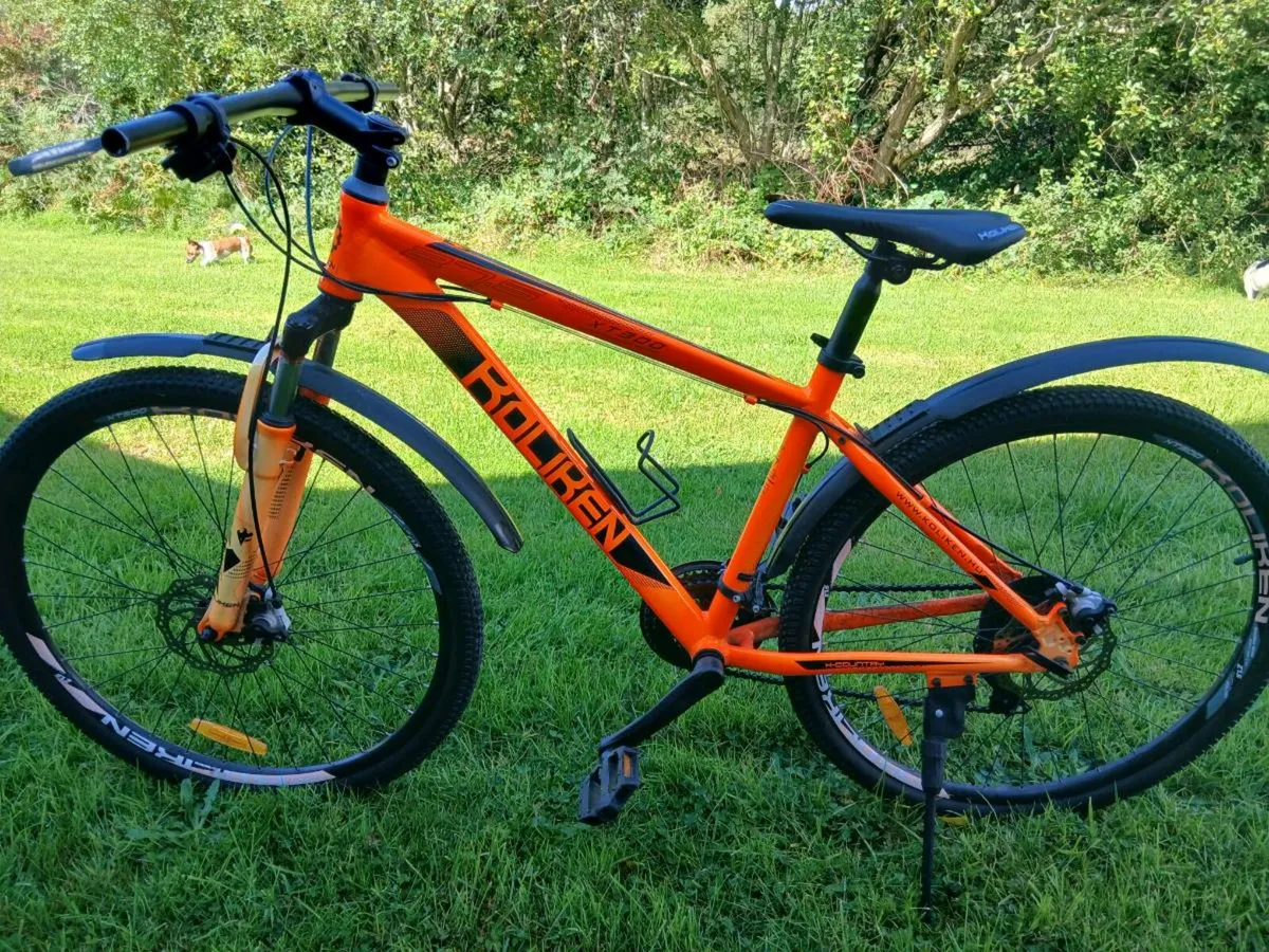 Bicycle - Image 1