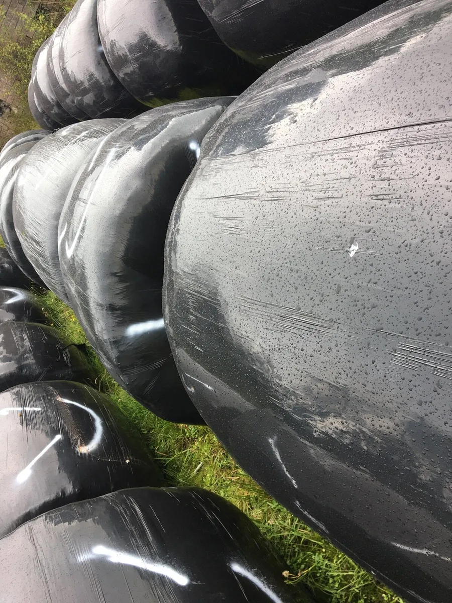 25 silage bales (2025) - Image 1