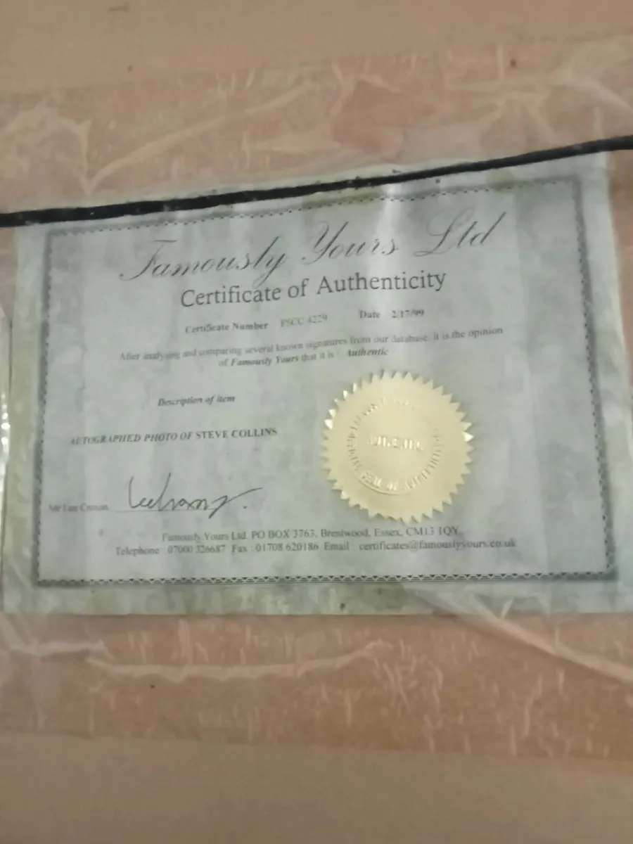 Boxing memorabilia - Image 2