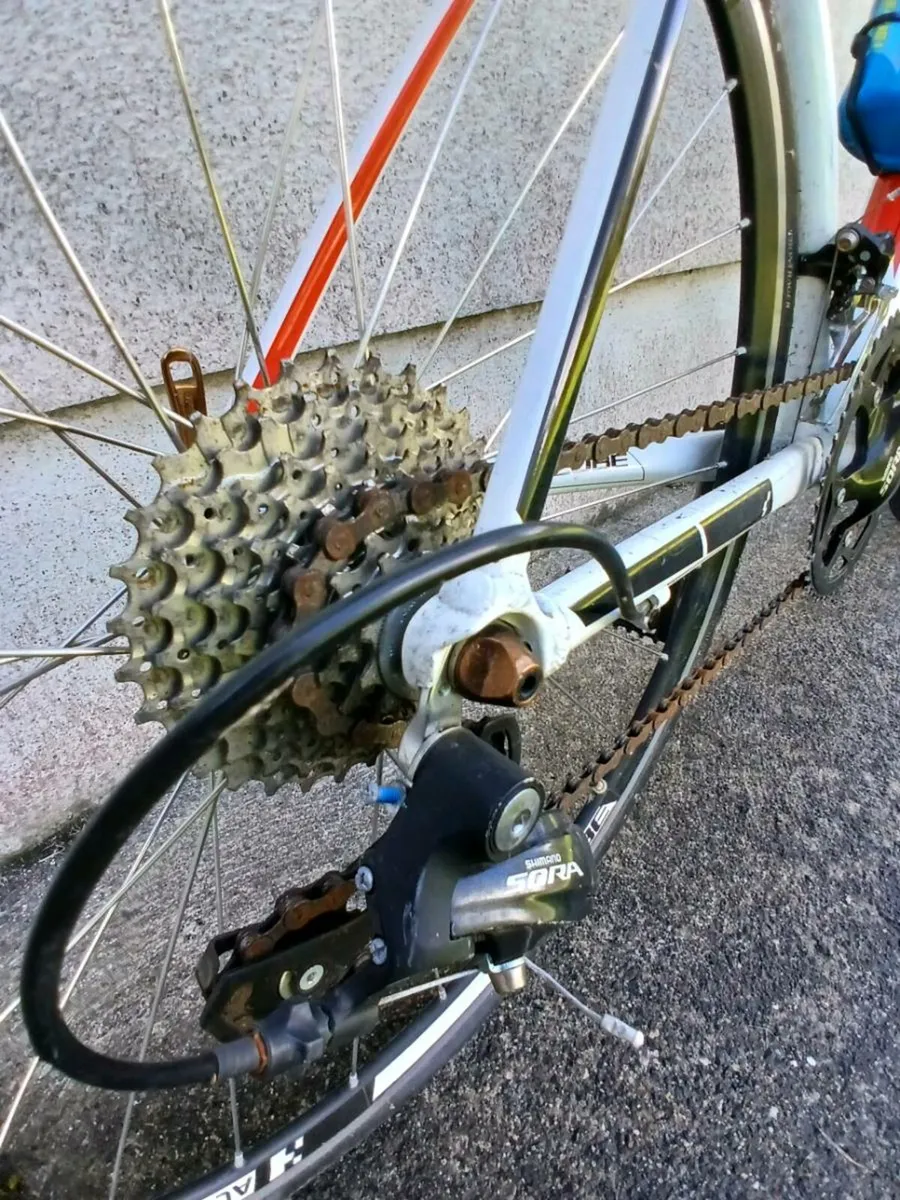 Bicycle - Image 4