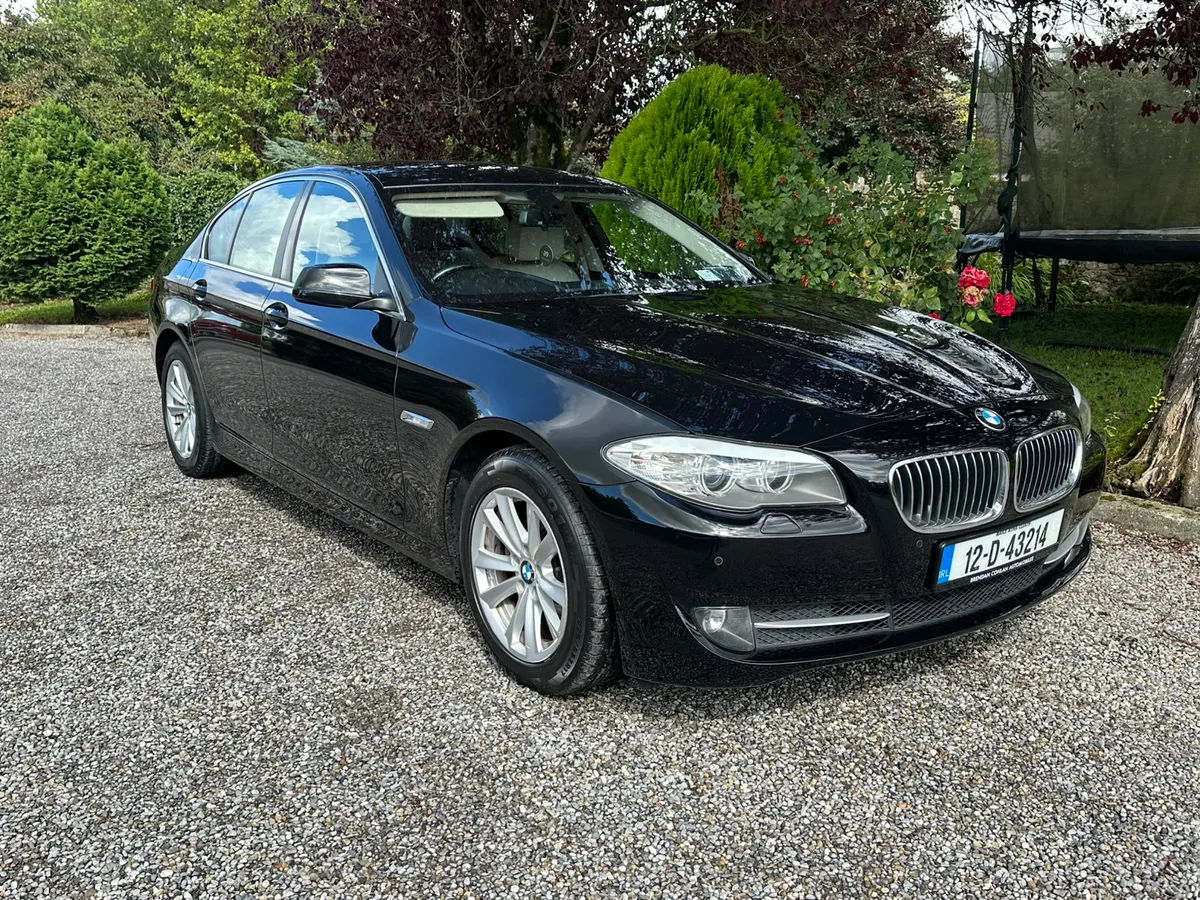 BMW 5 Series Business Edition Auto - Image 2